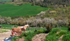 2010-04_Italia_1467