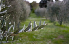 2010-04_Italia_1508