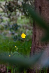 2010-04_Italia_1511