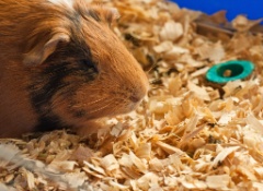 2011-01_GP_063