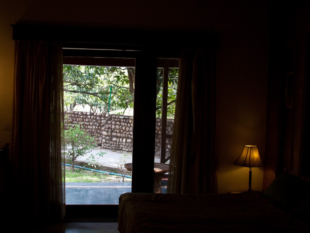 2011-03_India_1238
