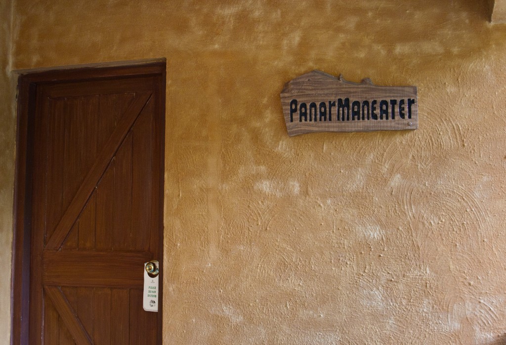 2011-03_India_1244