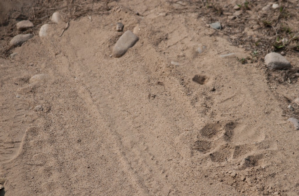 2011-03_India_1270