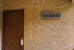 2011-03_India_1244