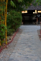 2011-03_India_1247