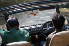 2011-03_India_1264