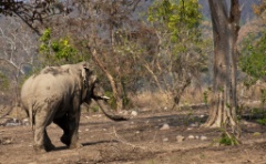 2011-03_India_1297