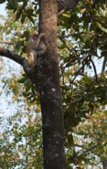 2011-03_India_1334