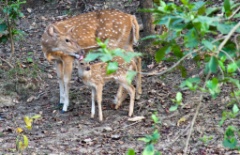 2011-03_India_1366
