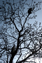 2011-03_India_1094