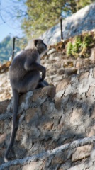 2011-03_India_1216