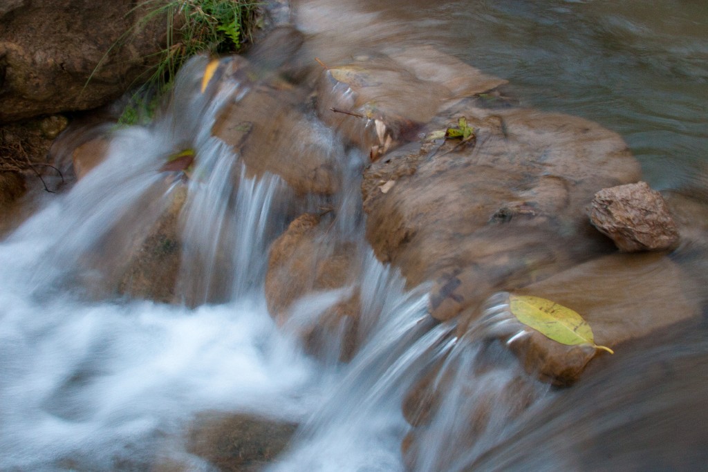 2011-03_India_068