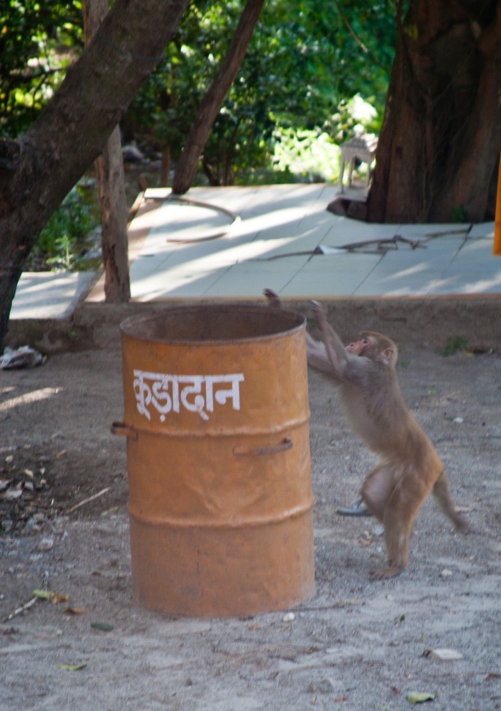 2011-03_India_132