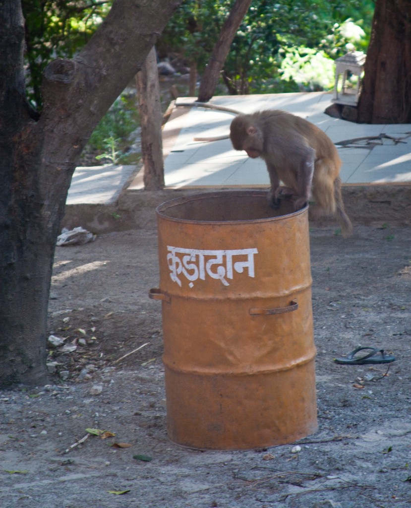 2011-03_India_133
