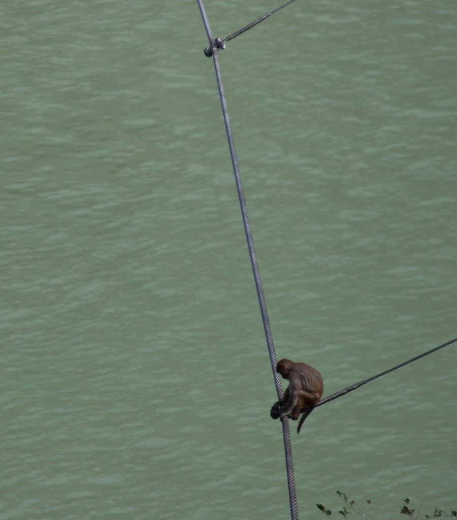 2011-03_India_295