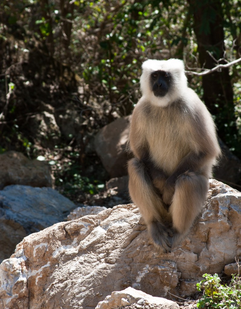 2011-03_India_380