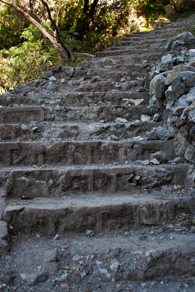 2011-03_India_414