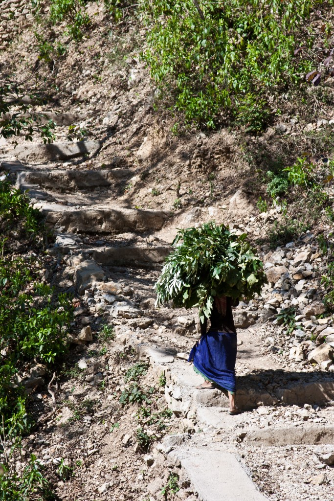 2011-03_India_437