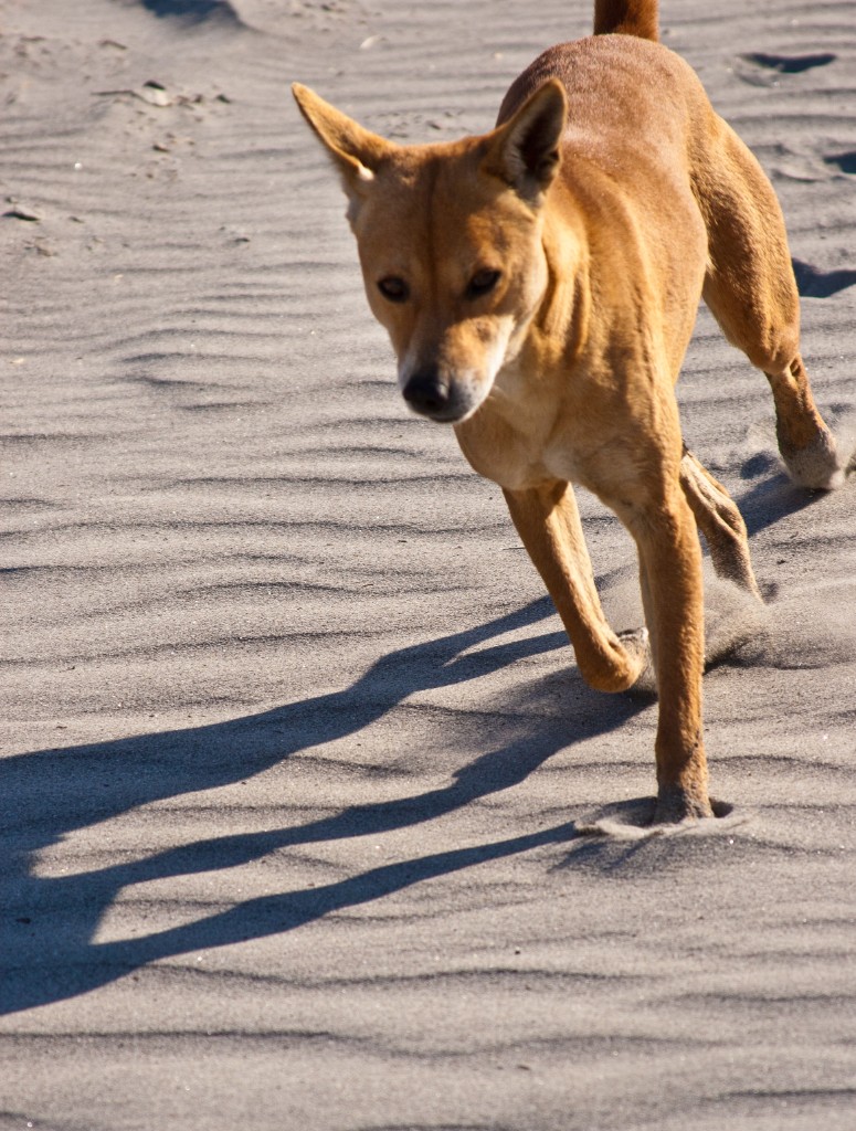 2011-03_India_542