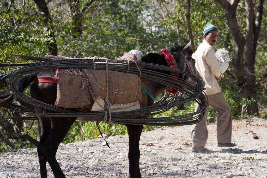 2011-03_India_707