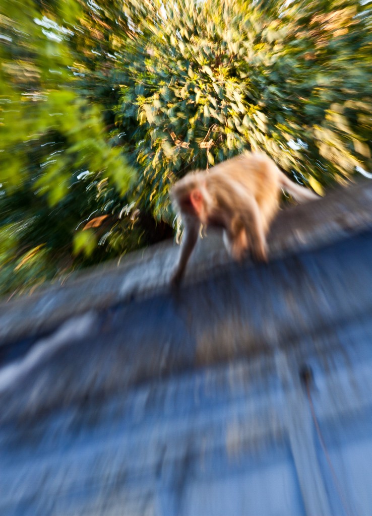 2011-03_India_863