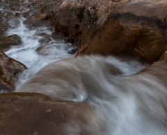 2011-03_India_074