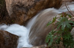 2011-03_India_080