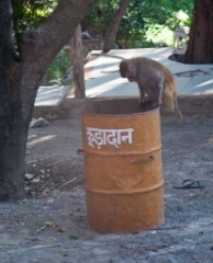 2011-03_India_133