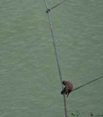 2011-03_India_295