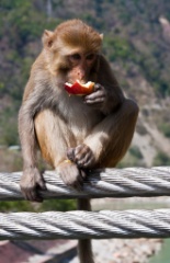 2011-03_India_322