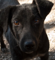 2011-03_India_368
