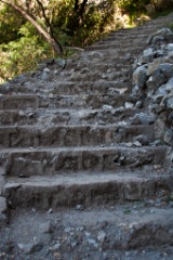 2011-03_India_414