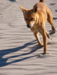 2011-03_India_542