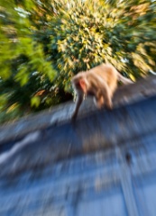 2011-03_India_863