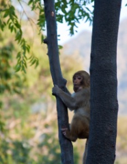 2011-03_India_866
