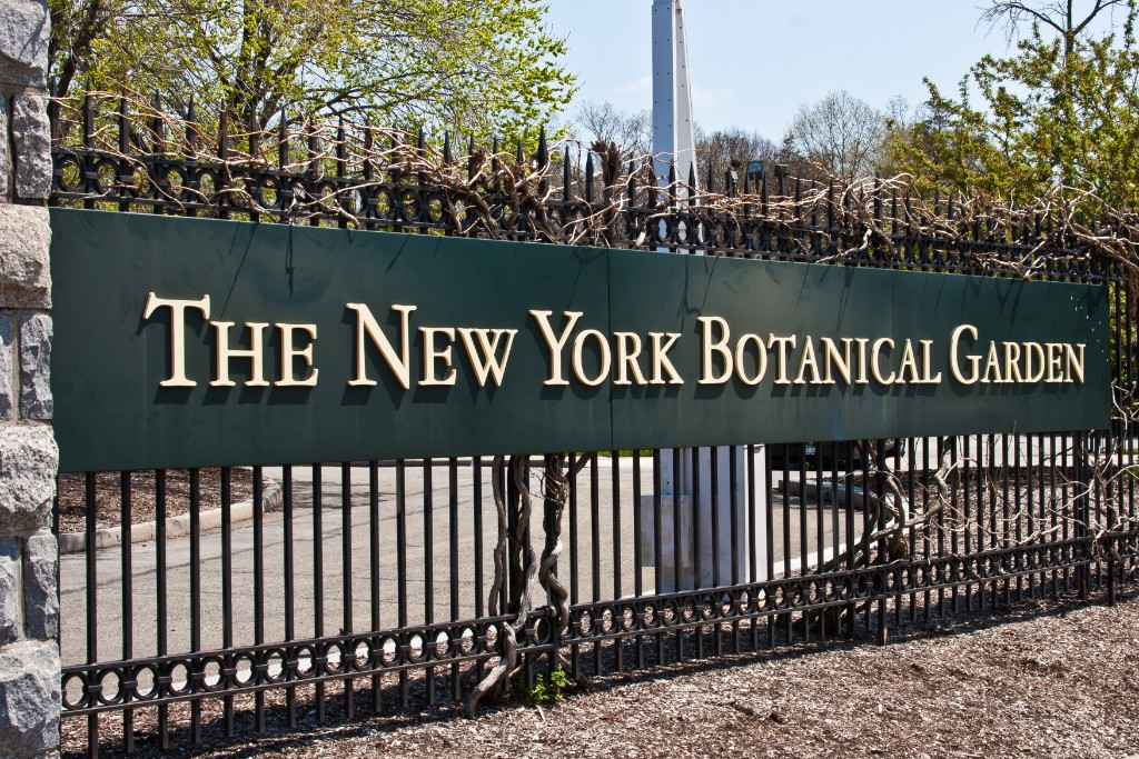 2011-04_NewYorkBirthday_393