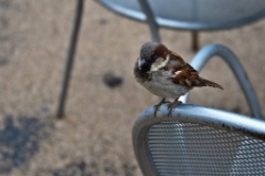 2011-04_NewYorkBirthday_134
