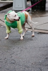 2011-04_NewYorkBirthday_165