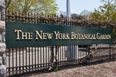 2011-04_NewYorkBirthday_393