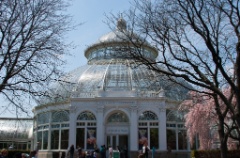 2011-04_NewYorkBirthday_394