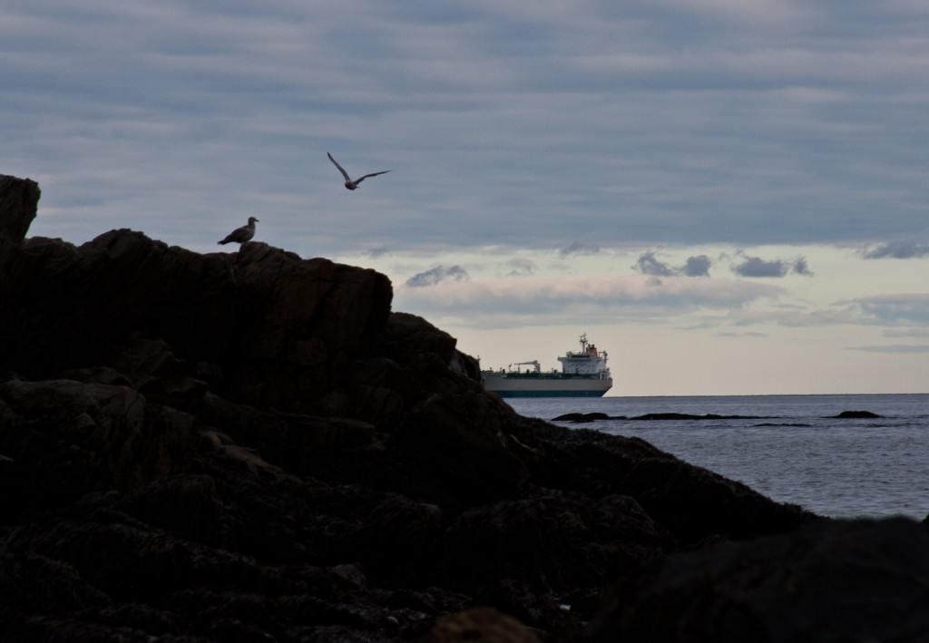 2011-10_Wallis Sands_011
