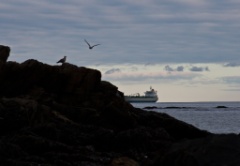 2011-10_Wallis Sands_011