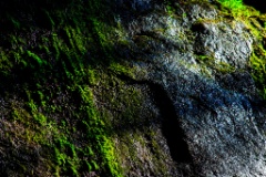 2012-08_Azevedos_210