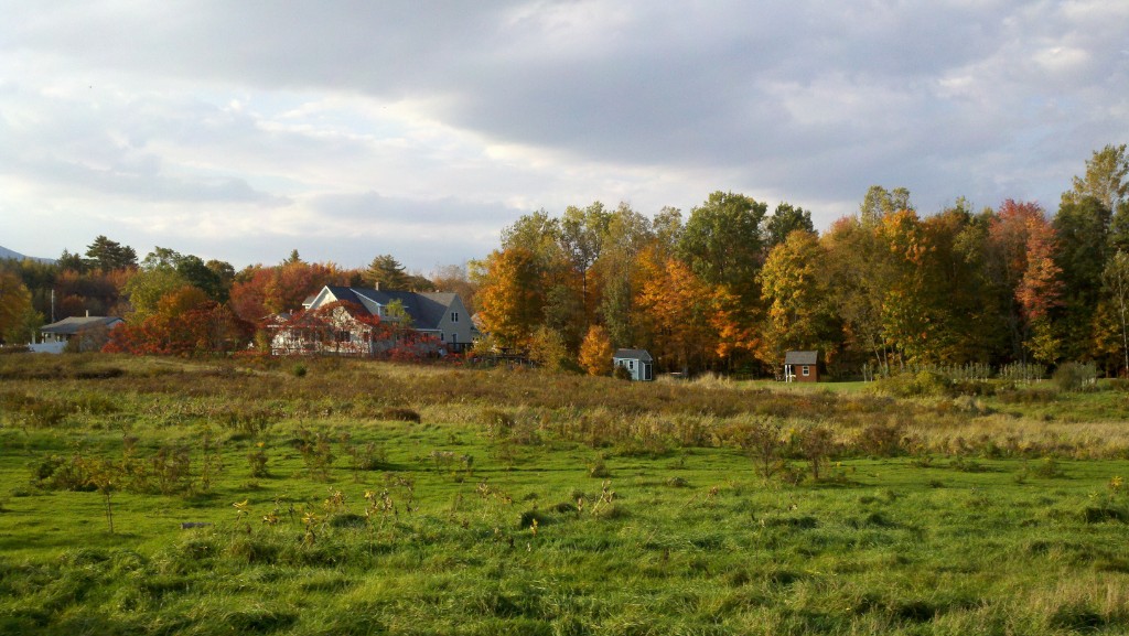 2012-10-05 16.42.38