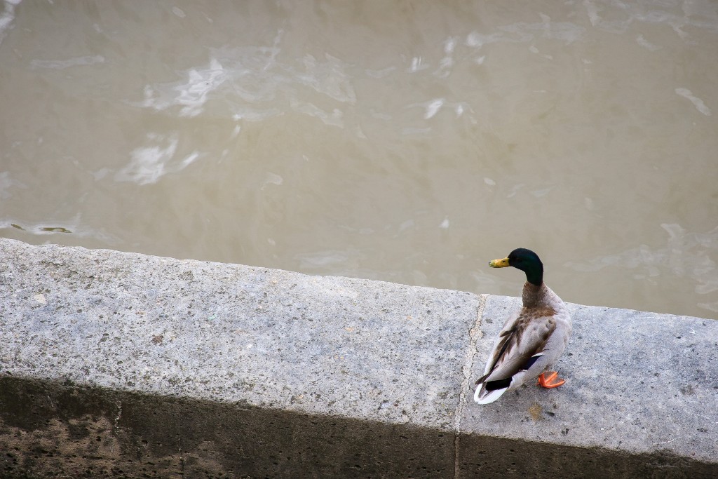 2012-05_Paris_053