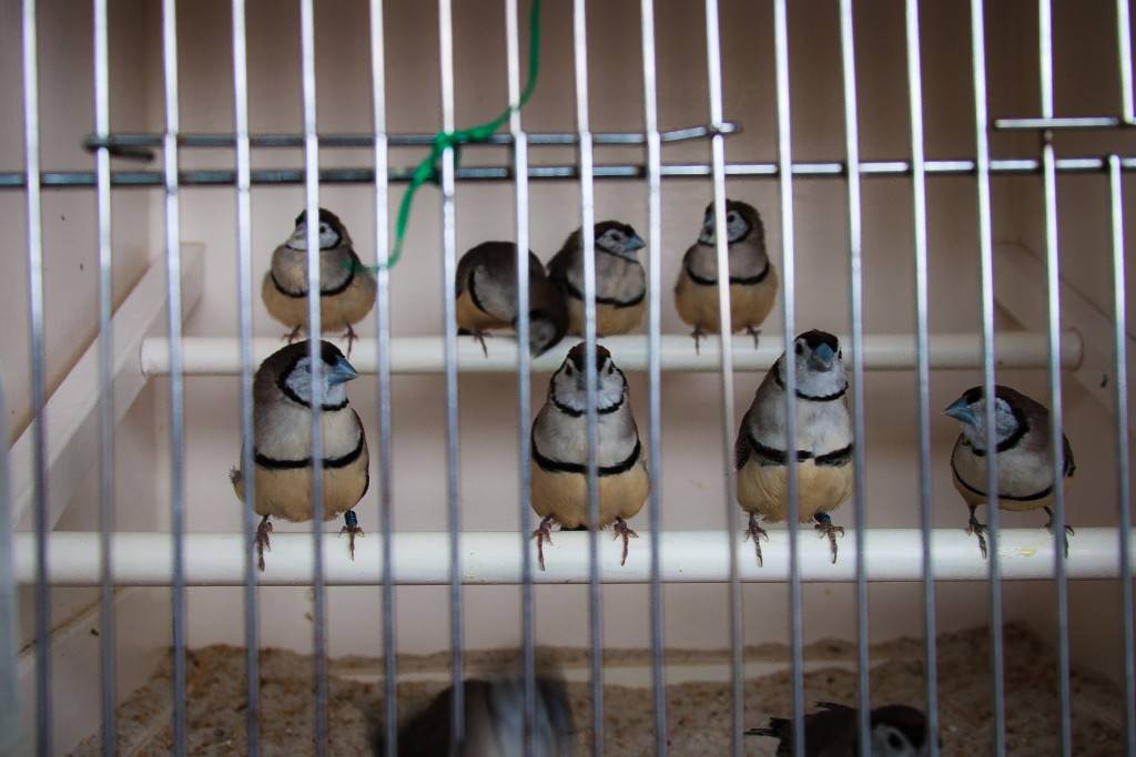 2012-05_Paris_085