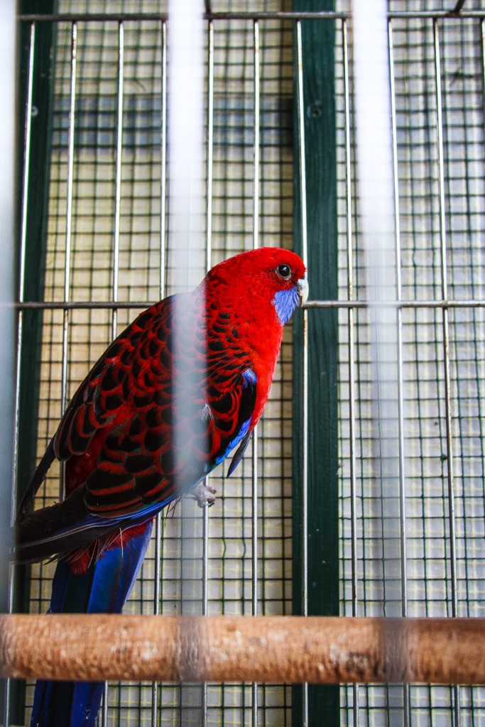 2012-05_Paris_094
