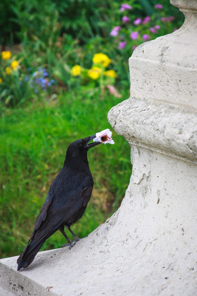 2012-05_Paris_1121