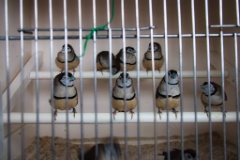 2012-05_Paris_085