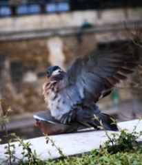 2012-05_Paris_401